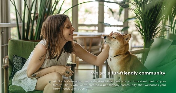 North Commons North Commons